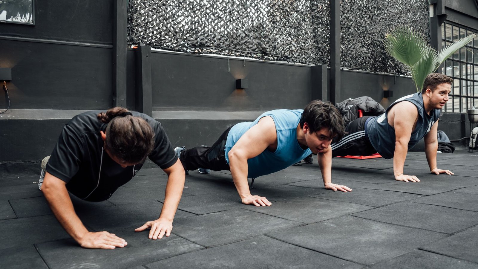 modafinil and exercise