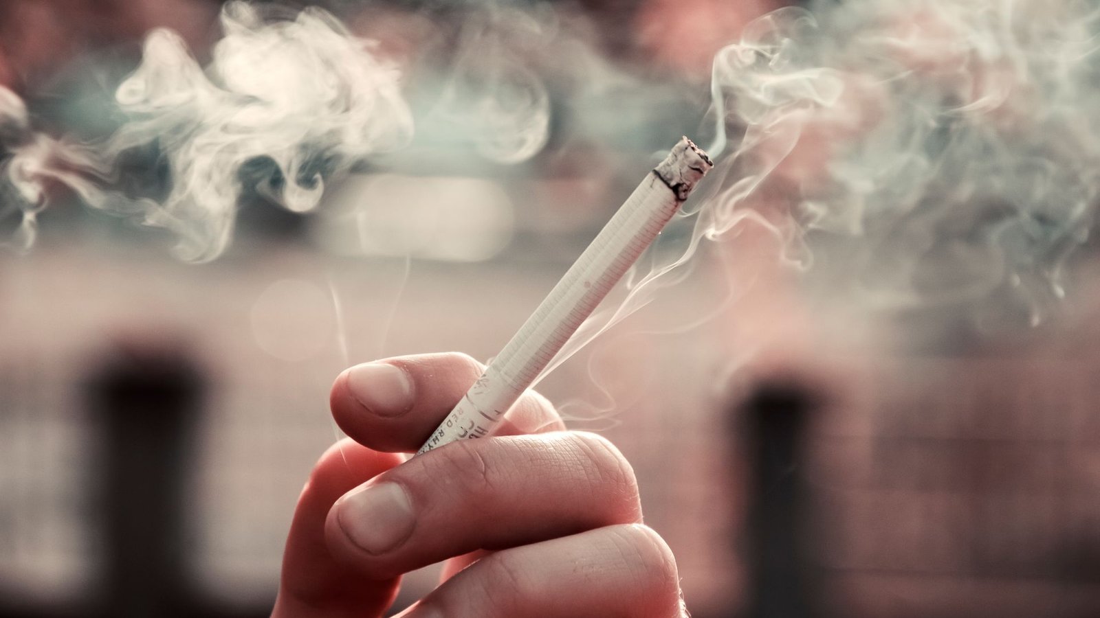 modafinil vs nicotine for focus