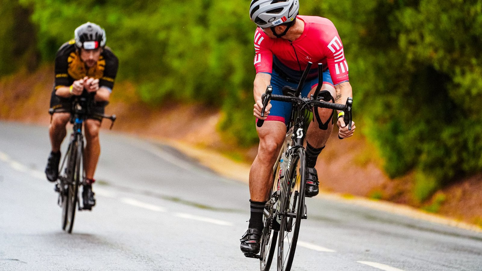 modafinil cycling schedule