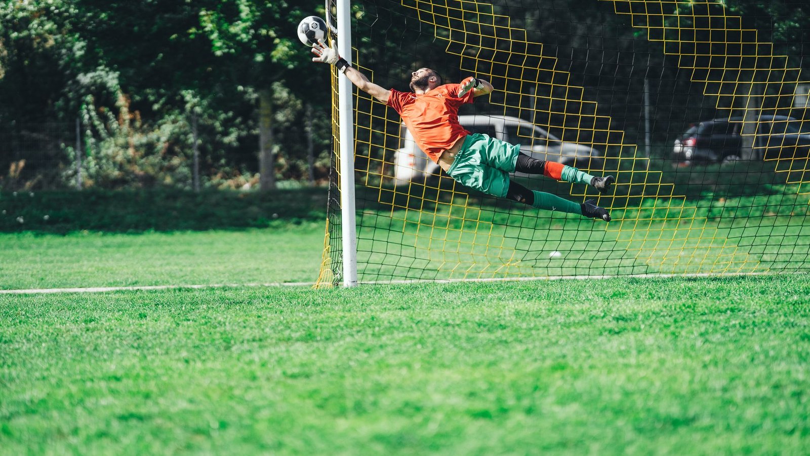 modafinil for athletes