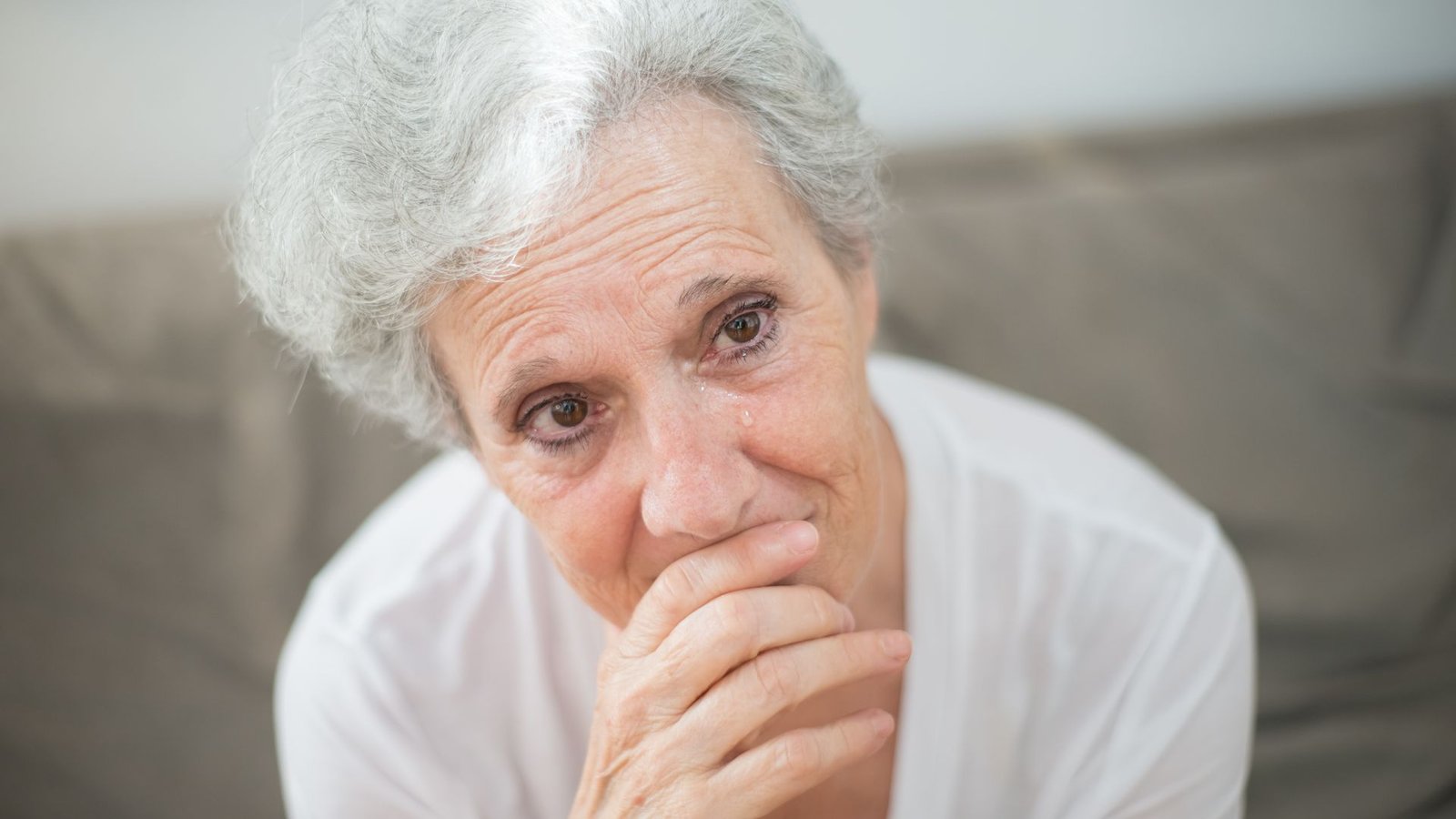 modafinil for depression