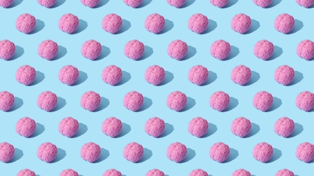 modafinil brain potential