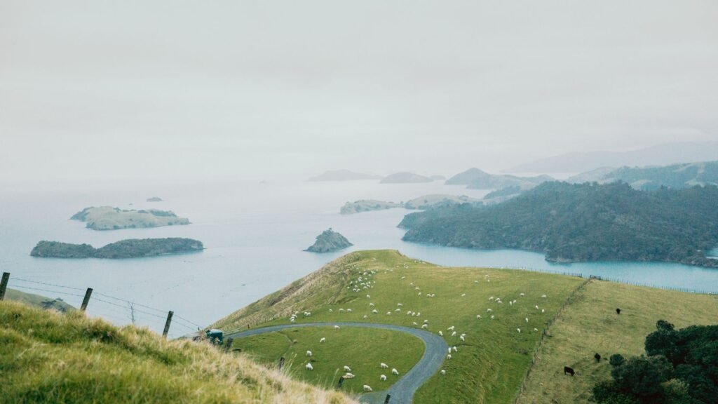 modafinil legal in new zealand